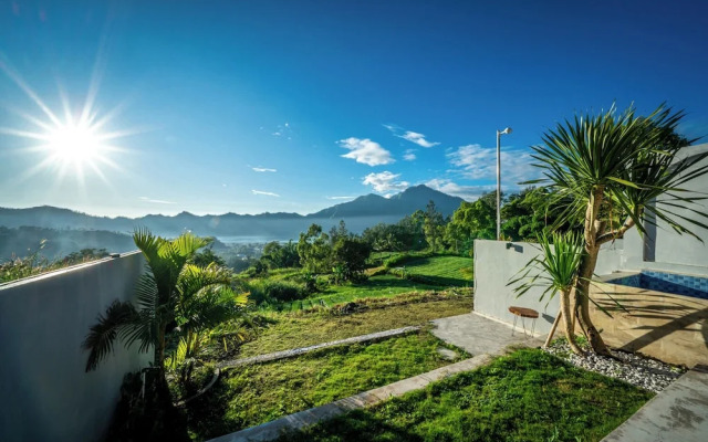 The Jungle Sunrise