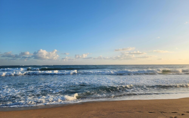 Stunning 3-Br Apt in Condado