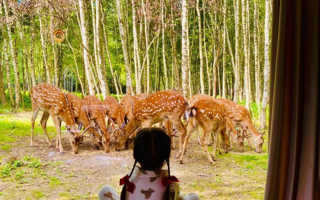 Домики Бэмби Ленд