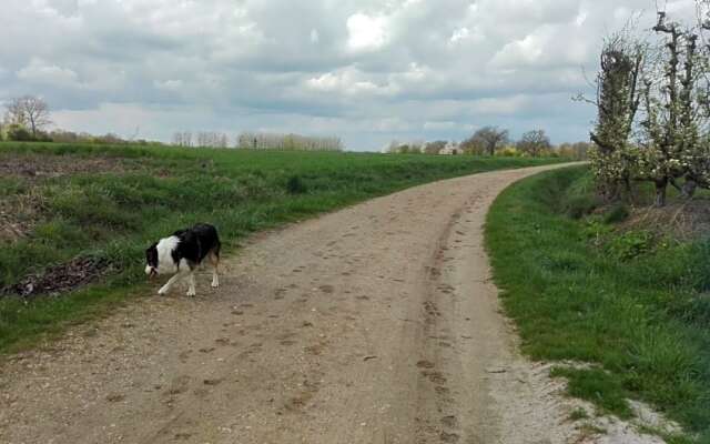 B&B De Laak