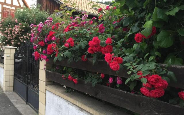 Chambre spacieuse dans joli village alsacien