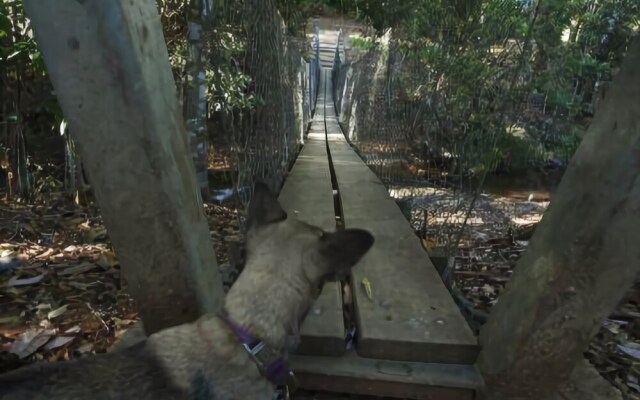 Chilverton Cottages & Restaurant