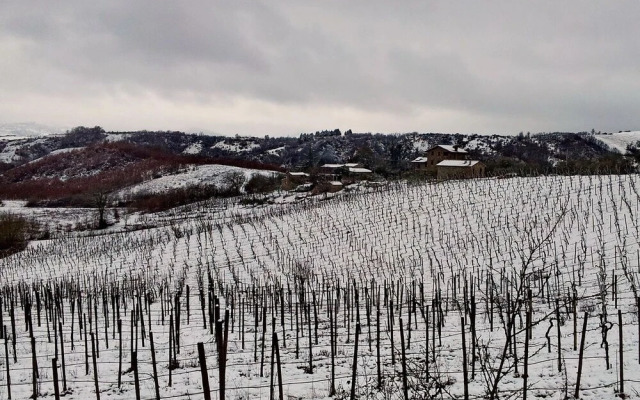 Agriturismo Le Vigne di Matteo