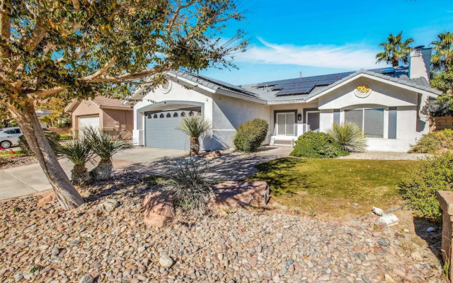 Flora Vista Sunshine