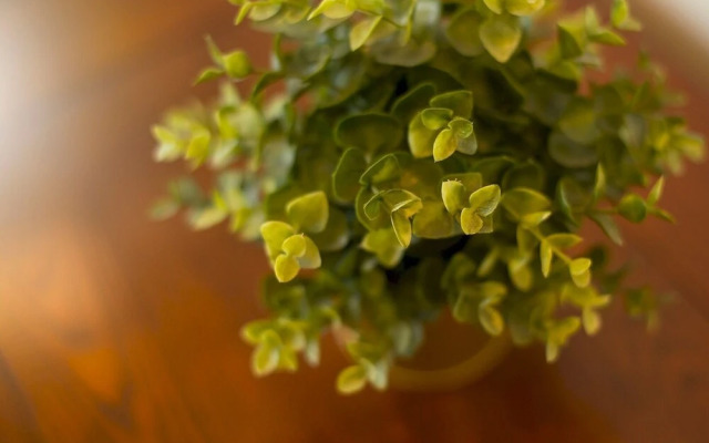 Luxurious 1 Bed Cardiff City Centre Apartment