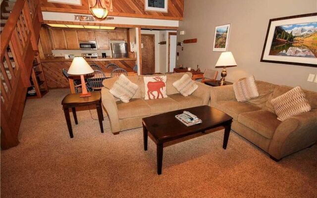 Mountainback #53, Loft