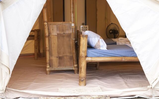 The Acacia Glamping Park