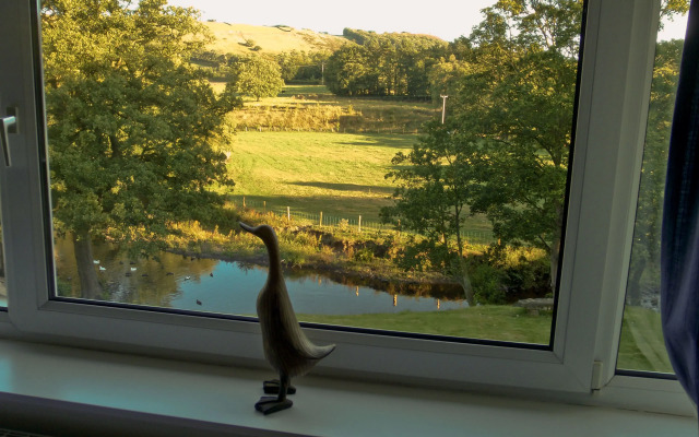 Millbrook B&B