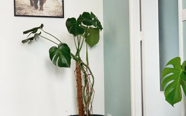 T2 Moderne Au Cœur Poitiers