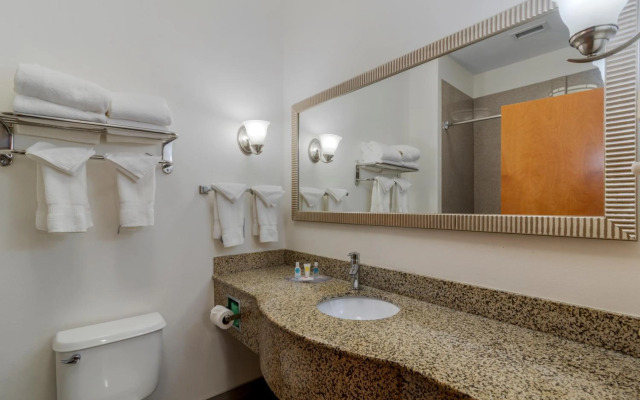 Comfort Suites Stockbridge Atlanta South