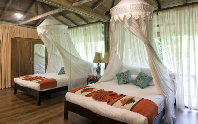 Fig Tree Hill Resort