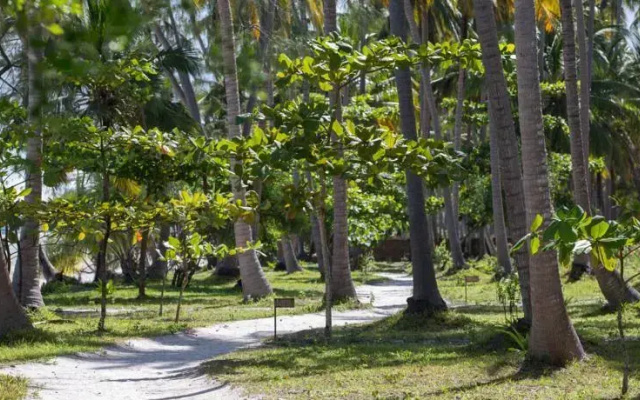 Ras Mbisi Lodge