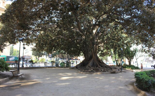 Hi Valencia Boutique