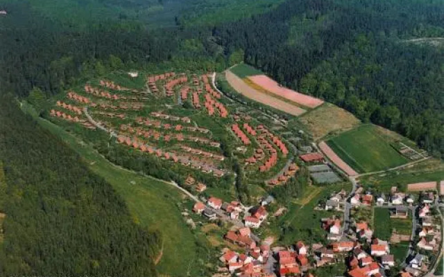 Ferienhaus-kirschbluete