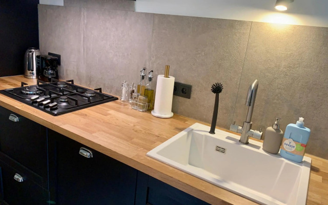 Wilde Moeflon, geniet van de vrije natuur!