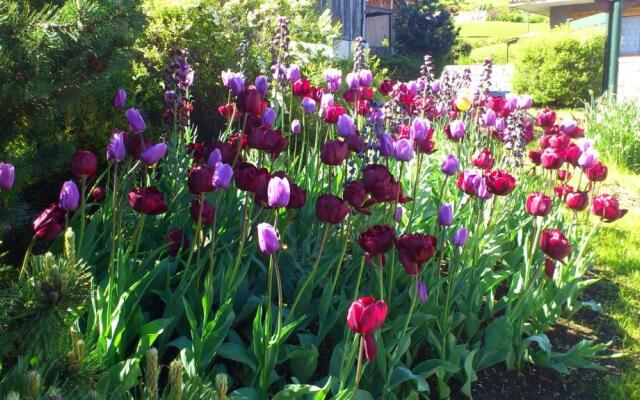 Vue Mont Blanc et toute la chaîne