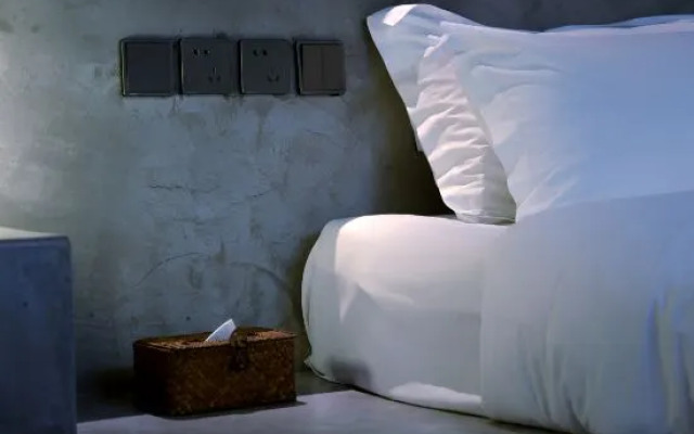 Yueli Great Wall View Homestay