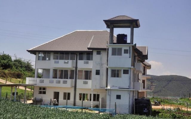 The Mountain Bungalow