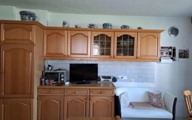 Large 4-room Apartment With Mountain View