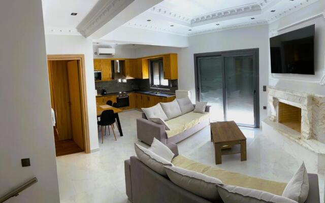 Deluxe furnished apartment (In the city center)