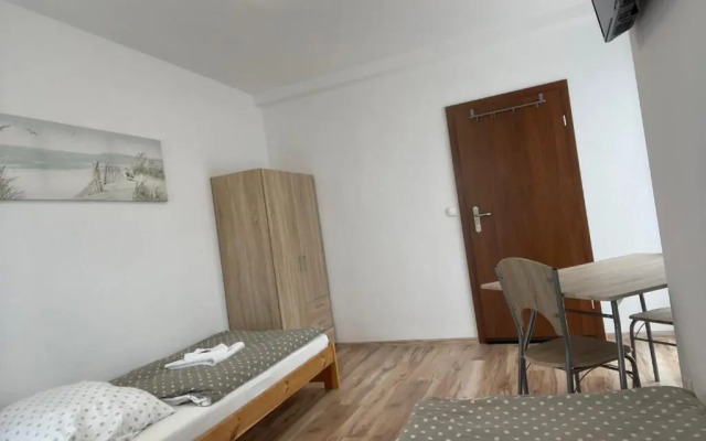 Różana 51