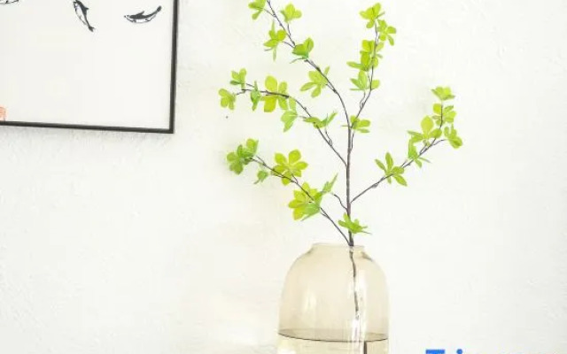 Daoqing Inn (Yangshuo West Street)