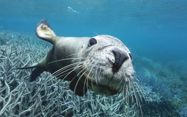 Quick Stroll To The City