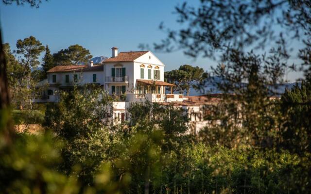 Domaine De La Navicelle - Cabernet