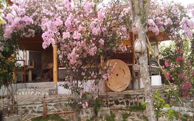 Bougainvillea Paradise Campground