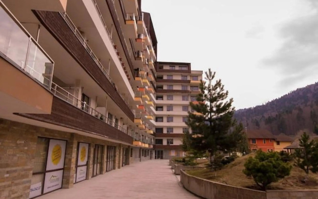 Studio Mountain View