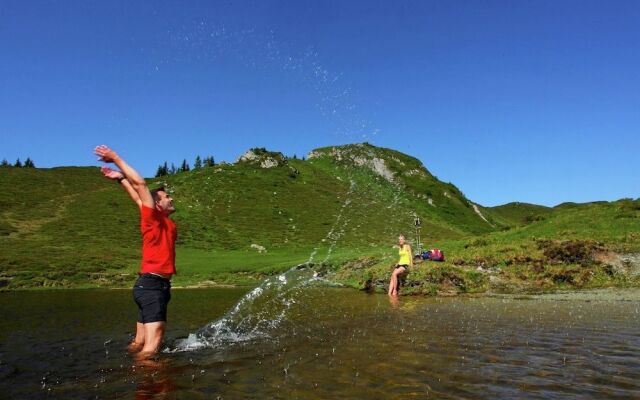 Cozy Apartment near Ski Area in Großarl
