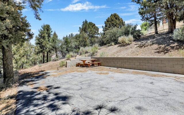 Chateau DE BIG Bear #2328