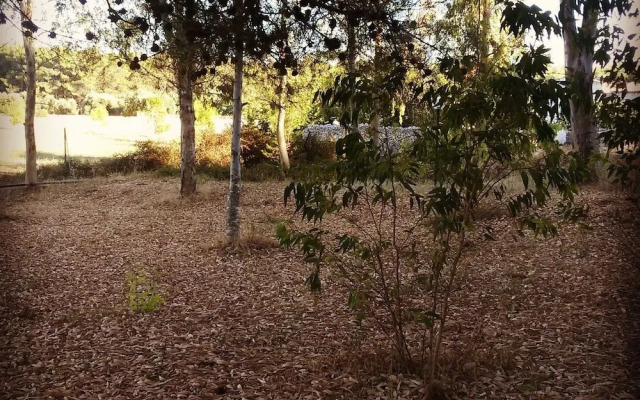 B&B Masseria Donna Carlotta