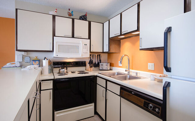 Storm Meadows at Christie Base