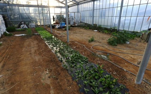 Yangyang Seorak Badanamuro Pension