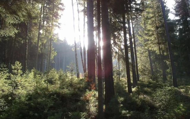 Stylish Apartment in Sohl With Terrace