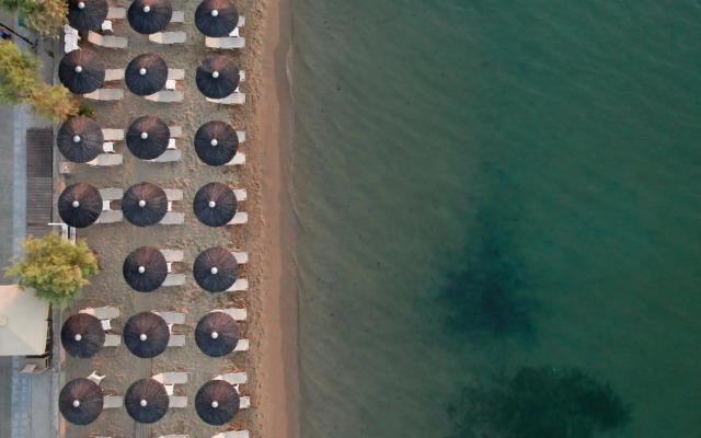 Golden Star City Resort