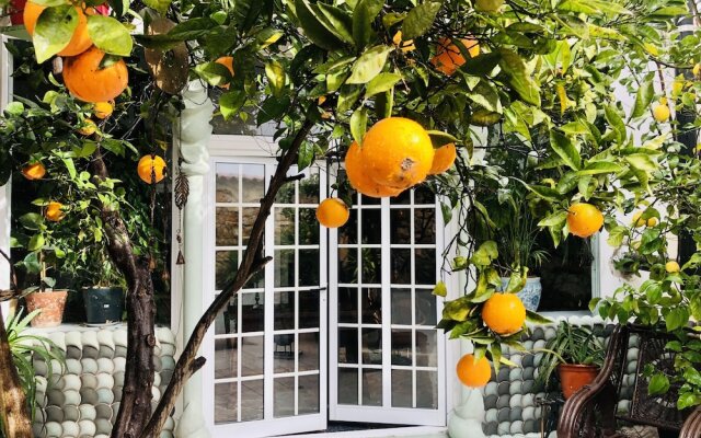 Beautiful Small House in Algarve, Portugal