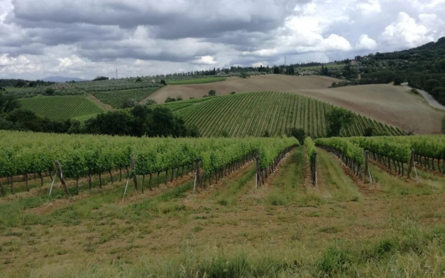 Agriturismo Podere La Cava