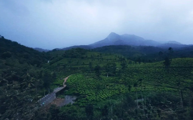 Bungalow With Tea Garden View