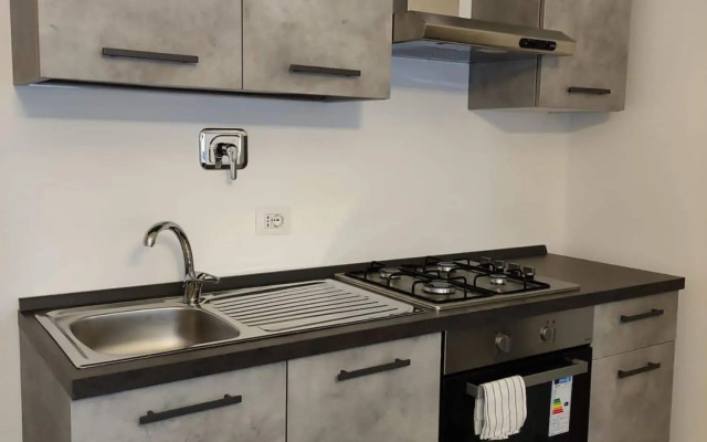 Beautiful apartment with bedroom, sofa bed and large open space with kitchen and terrace-Silver Apartment