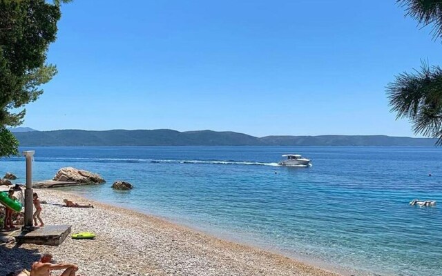 Apartments Reljic A842