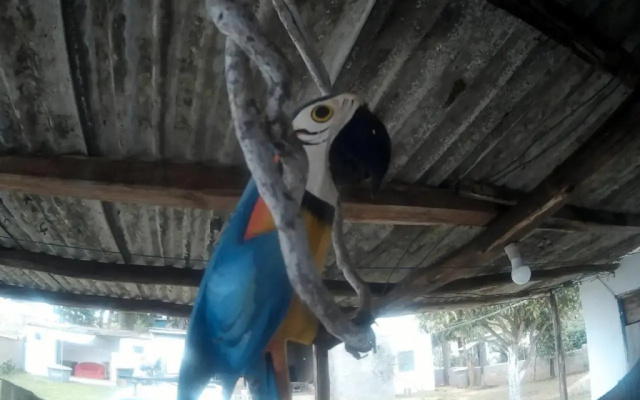 Pouso e Camping do Miguel