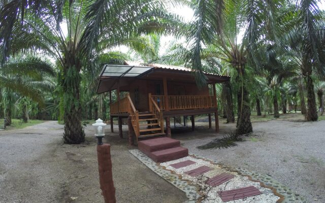 Khaosok Palmview