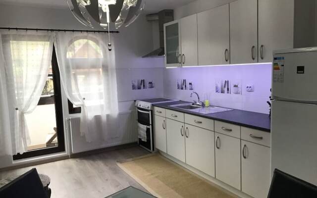 The Castle Apartment