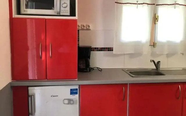 La tourterelle de Neron