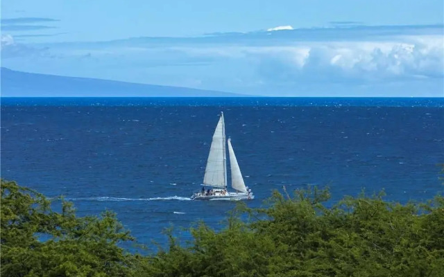 Maui Kamaole D-211 - 2 Br Condo