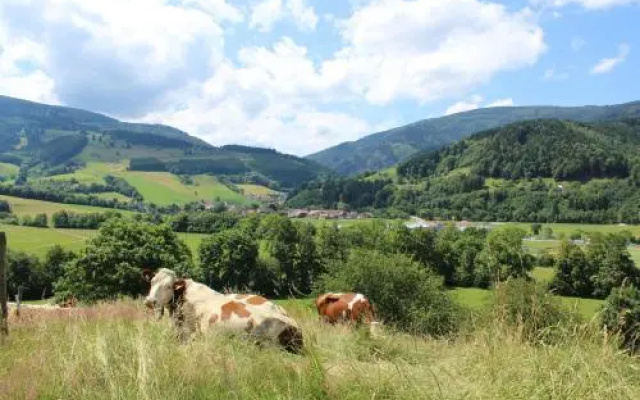 Landgasthof Zum Schützen Hotel