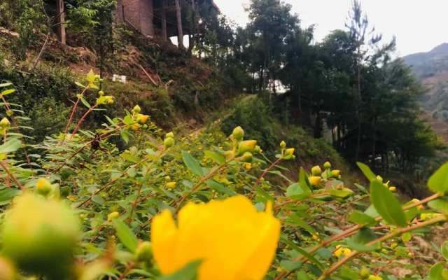 Hello Mu Cang Chai Homestay - Hostel