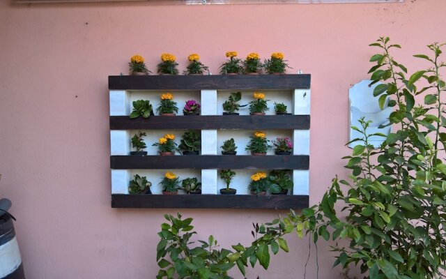 Alla Campagna
